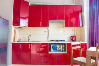 Апартаменты Apartamenty Stepana Bandery 35 Трускавец Апартаменты-48